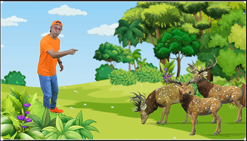 বনে যাই পশু দেখি - See the Animals