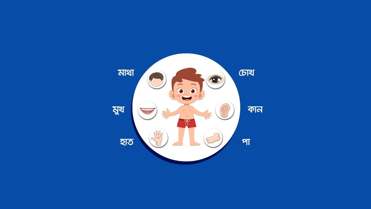 শরীরের অঙ্গ প্রত্যঙ্গের ব্যবহার (পর্ব ২) - Use of body parts (Part 2)